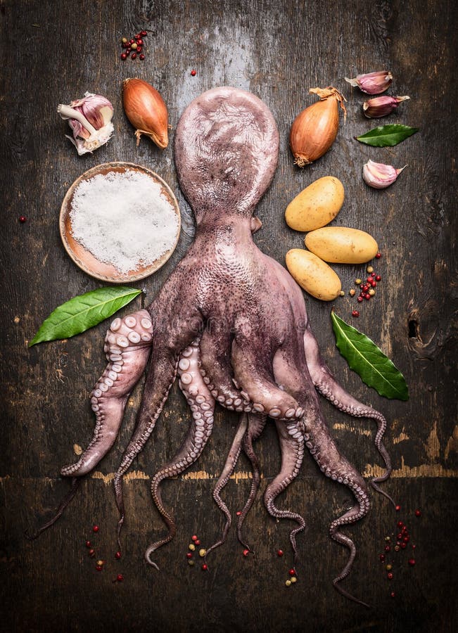 Verse gehele octopus met het koken van ingrediënten stock foto Verse gehele octopus met het koken van ingrediënten stock foto