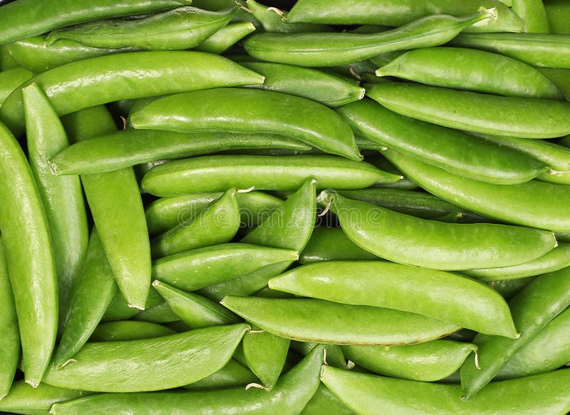 Verse geoogste groene erwten stock afbeeldingen Verse geoogste groene erwten stock afbeeldingen