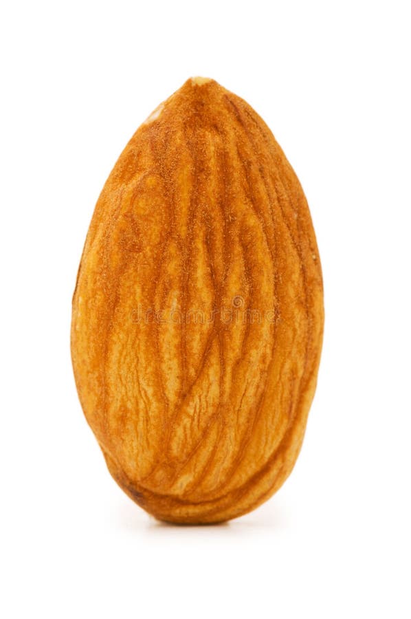 Verse amandel geïsoleerd royalty-vrije stock fotografie