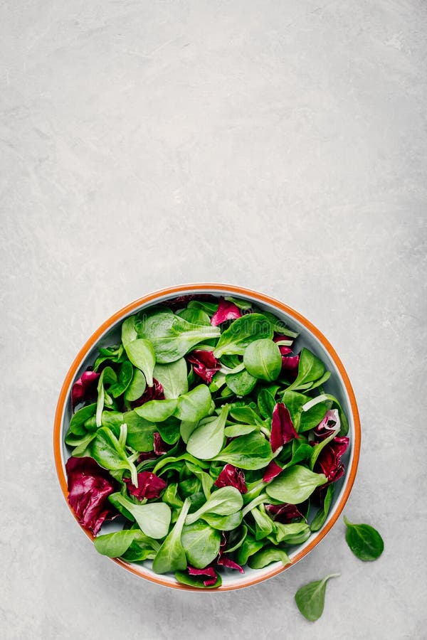 Verse groene gemengde saladebladeren in kom met radicchio en veldsla royalty-vrije stock afbeeldingen Verse groene gemengde saladebladeren in kom met radicchio en veldsla royalty-vrije stock afbeeldingen