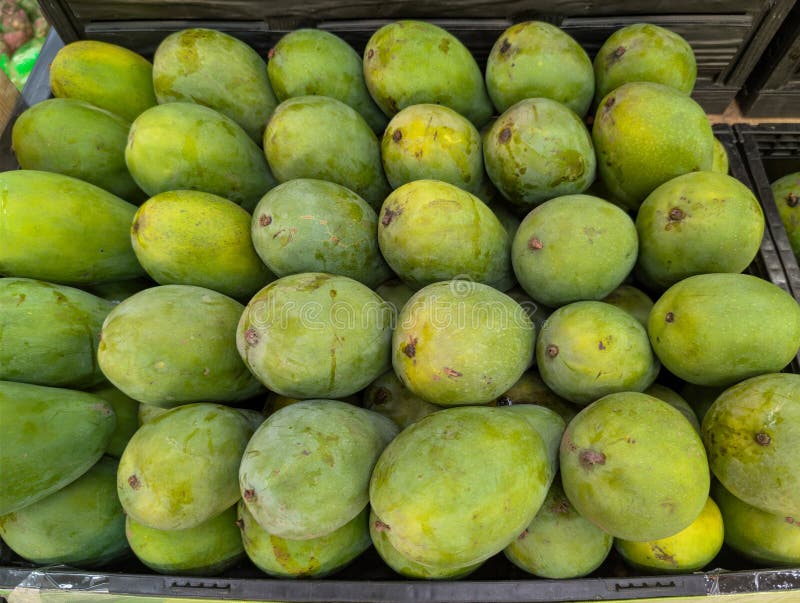 Verse groene mango's netjes gerangschikt in een doos in een fruitwinkel royalty-vrije stock foto