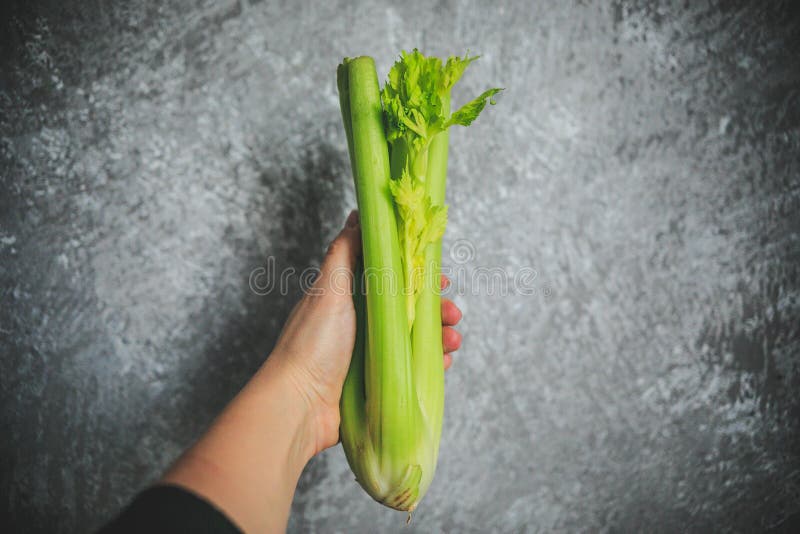 Verse groene selderieholding ter beschikking op de witte en grijze achtergrond royalty-vrije stock afbeelding Verse groene selderieholding ter beschikking op de witte en grijze achtergrond royalty-vrije stock afbeelding