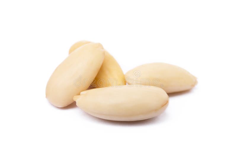 Verse, gezonde amandel geïsoleerd stock fotografie