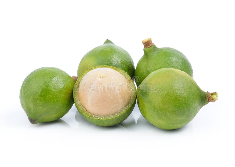 Verse macadamia noot stock foto's Verse macadamia noot stock foto's