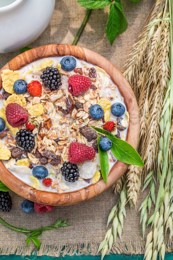 Verse muesli met bessen en melk in tuin stock foto Verse muesli met bessen en melk in tuin stock foto