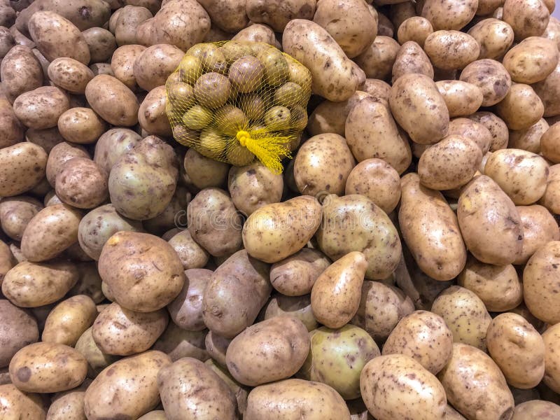 Verse organische aardappel met aardappels in mand royalty-vrije stock afbeeldingen Verse organische aardappel met aardappels in mand royalty-vrije stock afbeeldingen