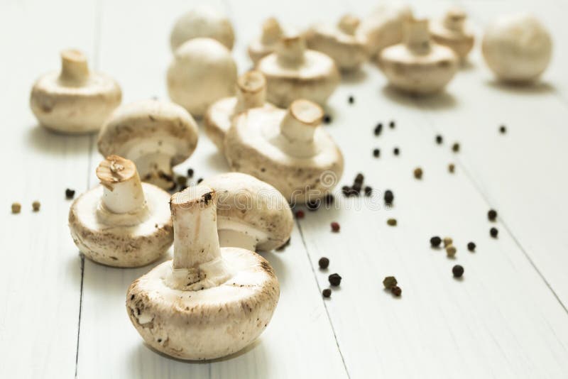 Verse organische champignons en kruiden op een witte achtergrond royalty-vrije stock afbeelding Verse organische champignons en kruiden op een witte achtergrond royalty-vrije stock afbeelding