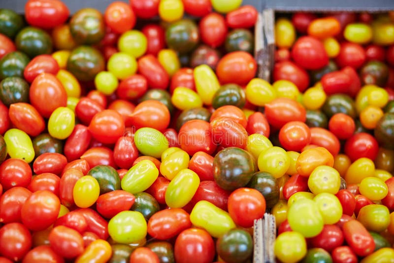 Verse organische kleurrijke tomaten op landbouwersmarkt royalty-vrije stock afbeelding Verse organische kleurrijke tomaten op landbouwersmarkt royalty-vrije stock afbeelding