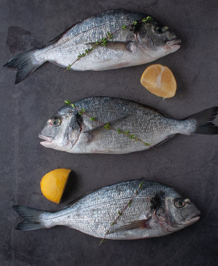 Verse overzeese vissendorado met oesters en garnalen en groenten royalty-vrije stock fotografie Verse overzeese vissendorado met oesters en garnalen en groenten royalty-vrije stock fotografie