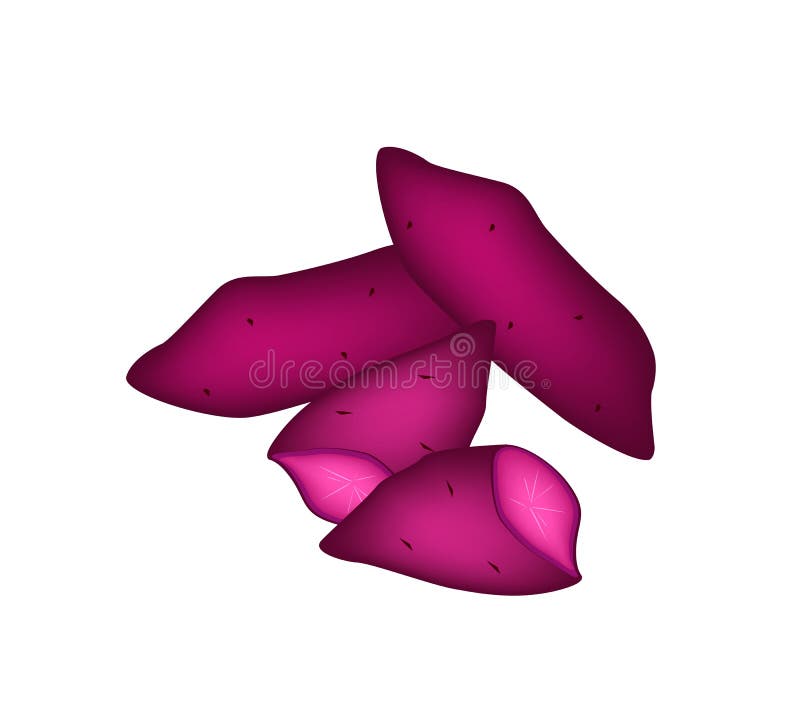 Download Verse Purpere Bataten Op Een Witte Achtergrond Vector Illustratie - Illustratie bestaande uit proteïne, purper: 39114586