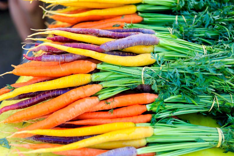 Verse purpere en oranje wortelen op vertoning bij de landbouwersmarkt