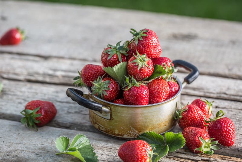 Verse rijpe aardbeien in uitstekende keukenpot op oude tuinlijst royalty-vrije stock fotografie Verse rijpe aardbeien in uitstekende keukenpot op oude tuinlijst royalty-vrije stock fotografie