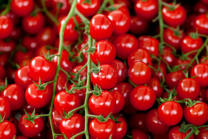 Verse rode tomaten op markt stock foto's Verse rode tomaten op markt stock foto's