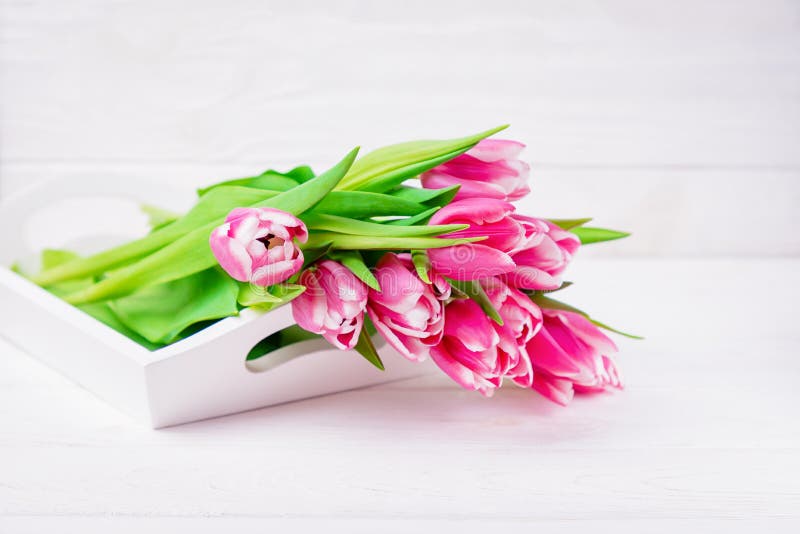 Verse roze magenta tulpenbloemen op een witte achtergrond Hoogste mening royalty-vrije stock foto Verse roze magenta tulpenbloemen op een witte achtergrond Hoogste mening royalty-vrije stock foto