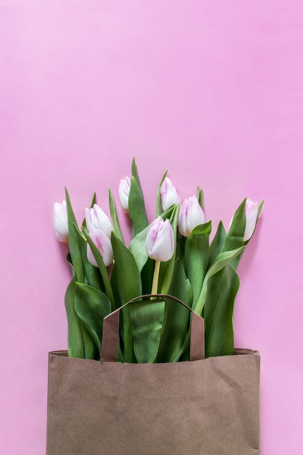Verse roze tulpenbloemen in document zak stock afbeelding Verse roze tulpenbloemen in document zak stock afbeelding