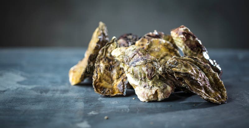 Verse ruwe oesters in mensenhanden op donkere bakground stock afbeeldingen Verse ruwe oesters in mensenhanden op donkere bakground stock afbeeldingen