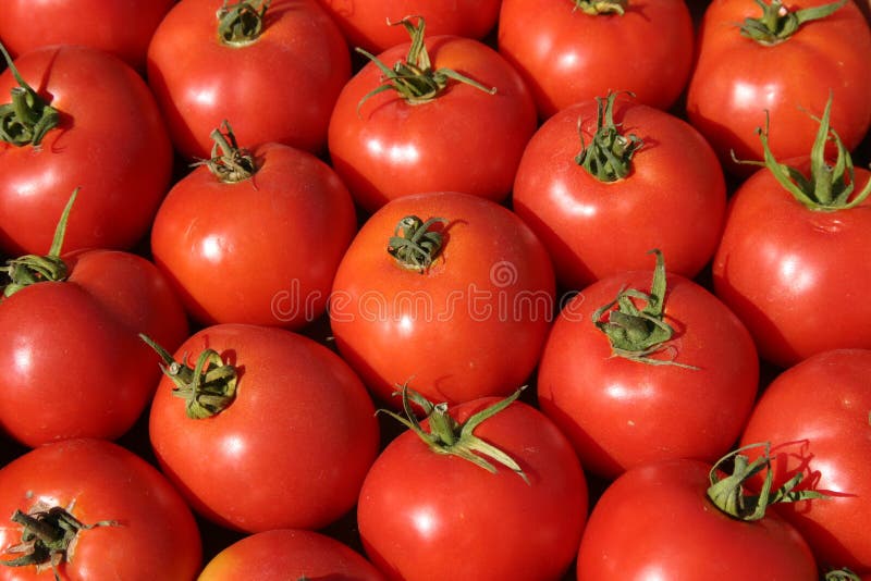 Verse tomaten bij de landbouwersmarkt