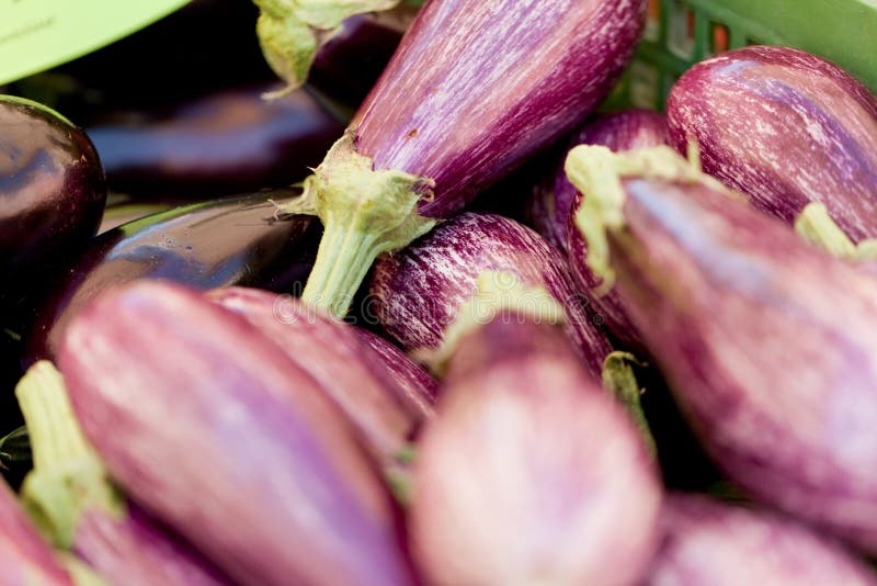 Verse violette aubergine in de zomer openlucht op markt royalty-vrije stock foto's Verse violette aubergine in de zomer openlucht op markt royalty-vrije stock foto's