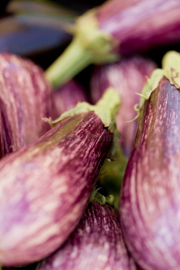Verse violette aubergine in de zomer openlucht op markt stock foto Verse violette aubergine in de zomer openlucht op markt stock foto