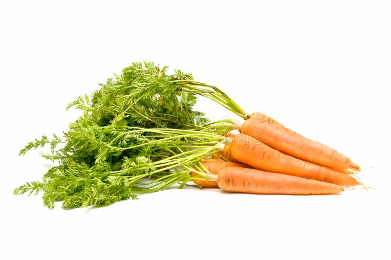 Fresh carrots on white background. Fresh carrots on white background