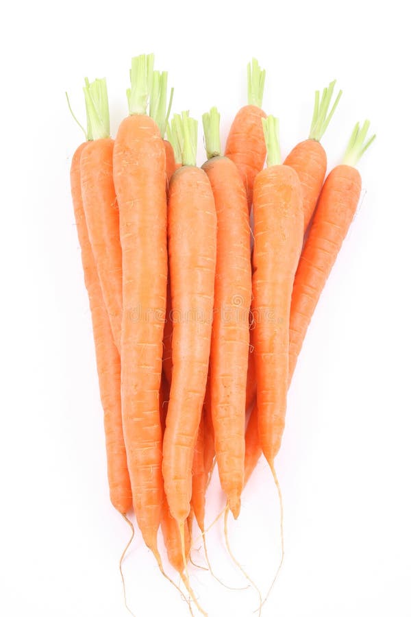 Bunch of fresh carrots isolated on white. Bunch of fresh carrots isolated on white