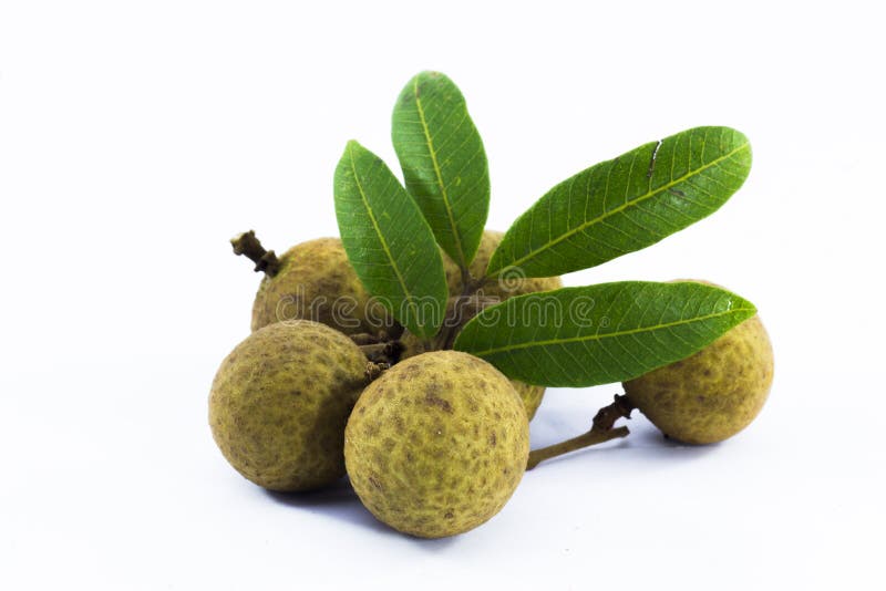 Verse longans stock foto