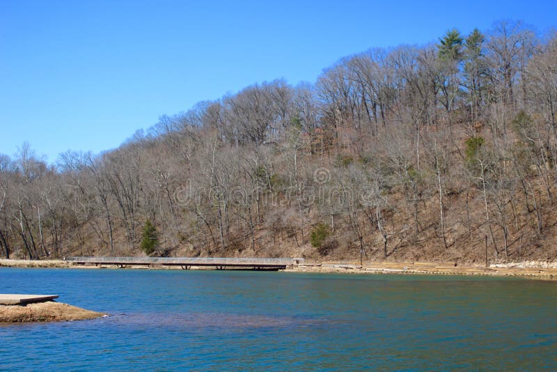 A Beautiful Dried Trees Winter Time Background royalty free stock image