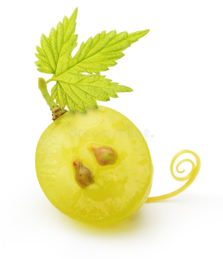 Vert de raisin d'isolement photo stock. Image du savoureux 43157624