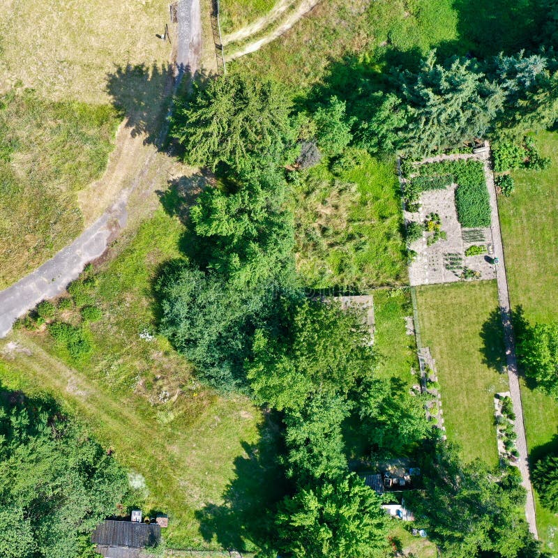 Vertical aerial view of a tidy vegetable patch bordered by rows of trees and bushes, with a field path diagonally in the picture royalty free stock photography