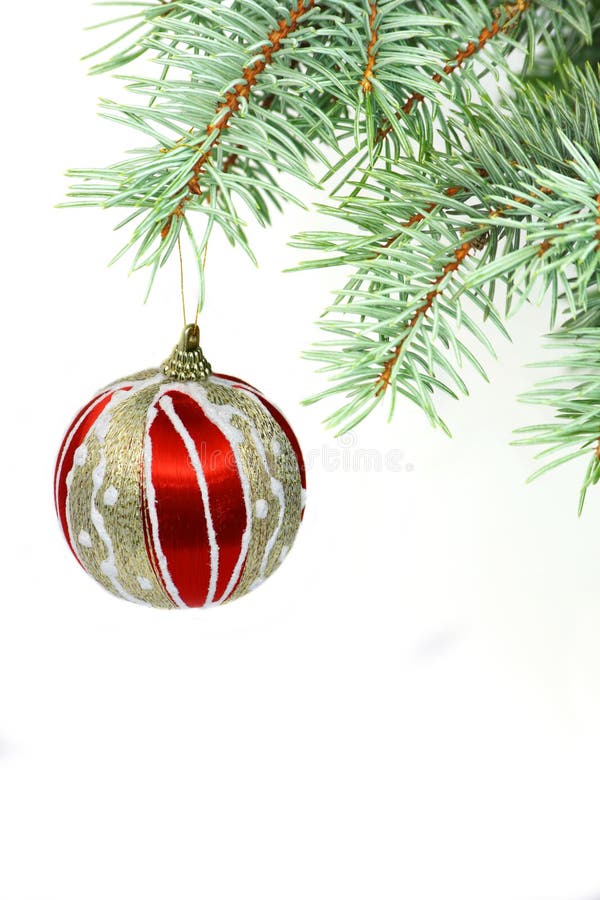 Vertical fir-tree branch with christmas ball