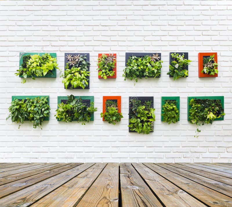 66,936 Garden Brick Wall Stock Photos Free & RoyaltyFree Stock