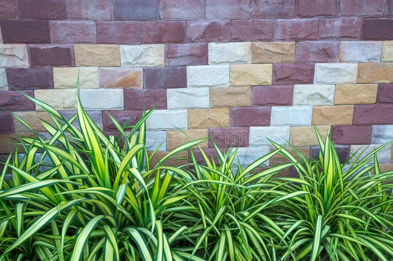 Vertical Gardening and Tile Walls Stock Image Image of leaf, walls