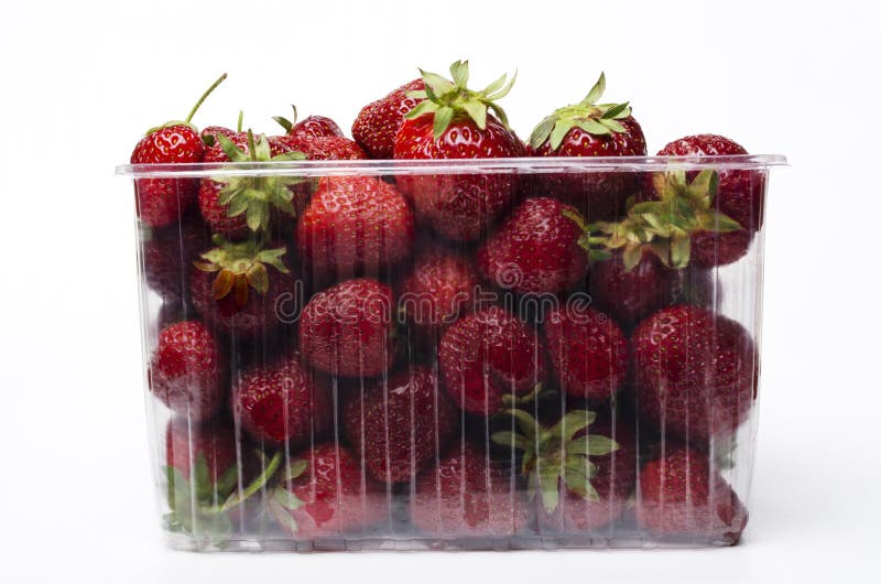 787 Strawberries Plastic Container White Background Stock Photos Free