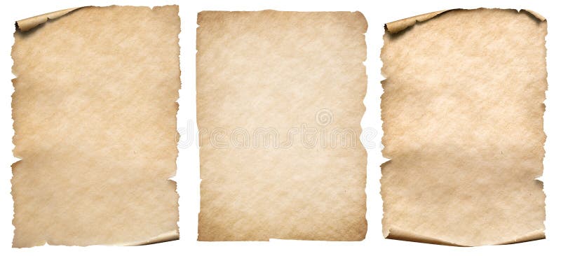 Roll Of Baking Parchment Paper Isolated On White Stock Photo, Picture and  Royalty Free Image. Image 43938815.