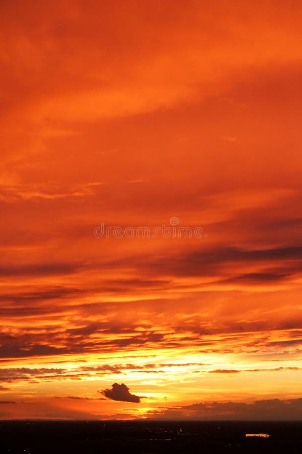 Vertical Orange Sunset