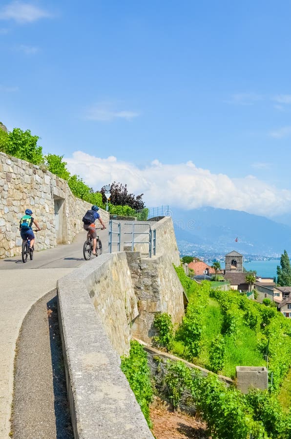 Vertical picture of cyclists driving on panoramic path along terraced vineyards on hills by Lake Geneva, Switzerland. Lavaux wine stock photography Vertical picture of cyclists driving on panoramic path along terraced vineyards on hills by Lake Geneva, Switzerland. Lavaux wine stock photography