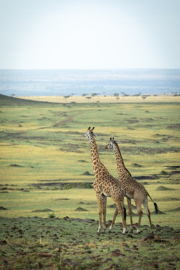 Kenya