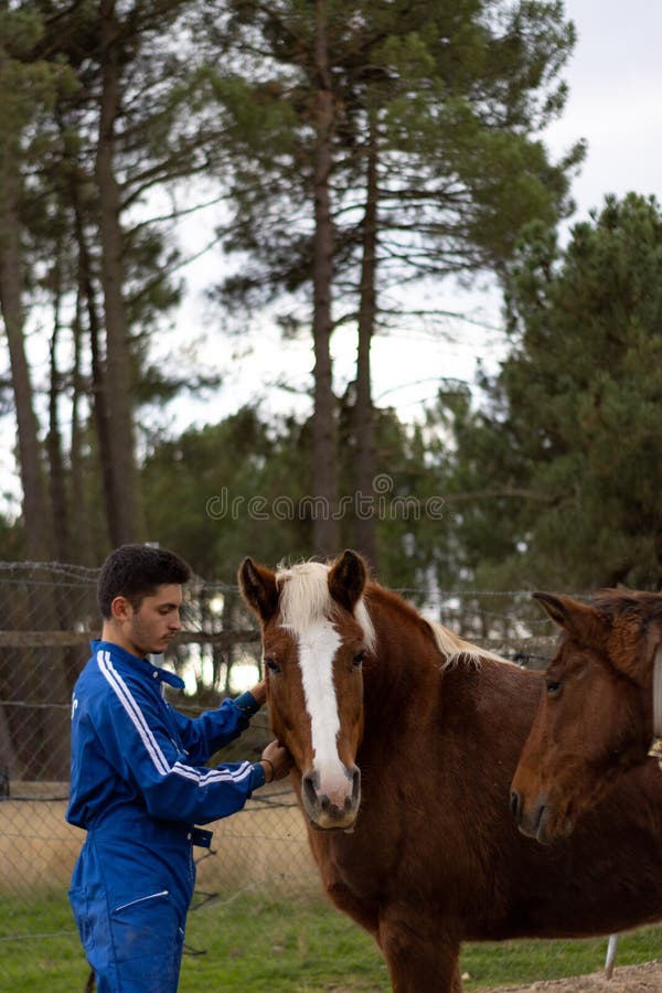 Vertical Portrait of a Young Rancher and Farmer Guy Caring for and