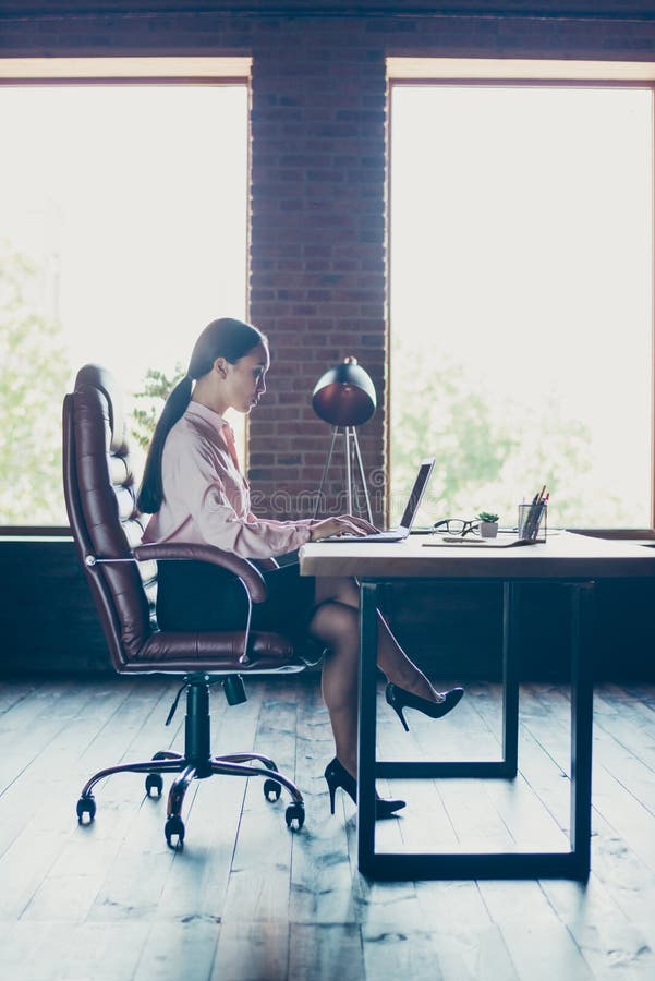 Vertical profile side view of her she nice attractive elegant trendy stylish lady shark founder writing email preparing stock photography Vertical profile side view of her she nice attractive elegant trendy stylish lady shark founder writing email preparing stock photography