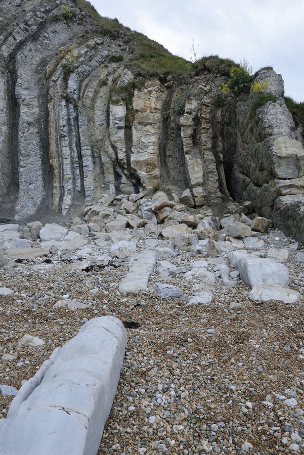 Vertical Purbeck Limestone Beds