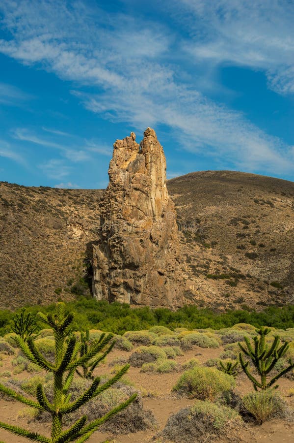 Vertical Rock Formation with Cactus in the Foreground. Stock Photo ...