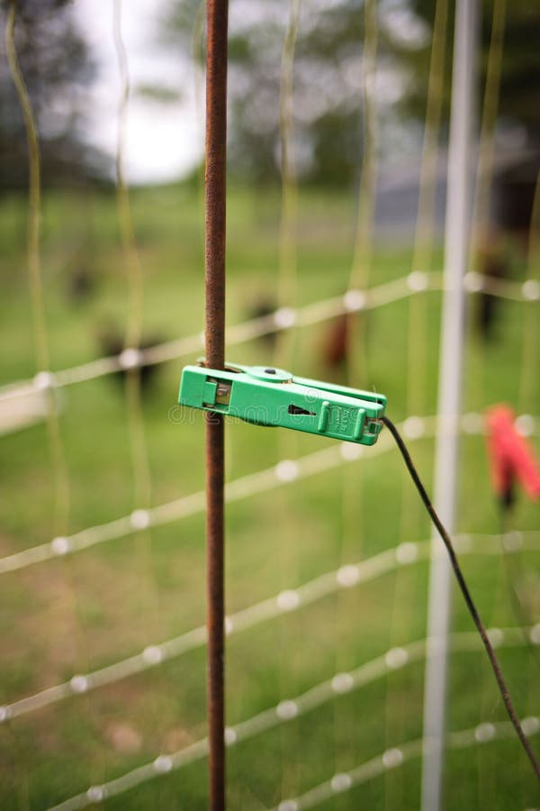 Vertical Selective Shot of an Electrical Fencing on a Farm Stock Image