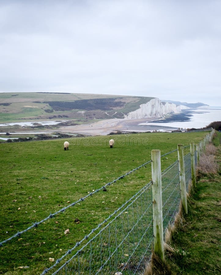 Vertical shot of barbed wire and chain link fence on a field with a view of a cliff on a seashore stock photo