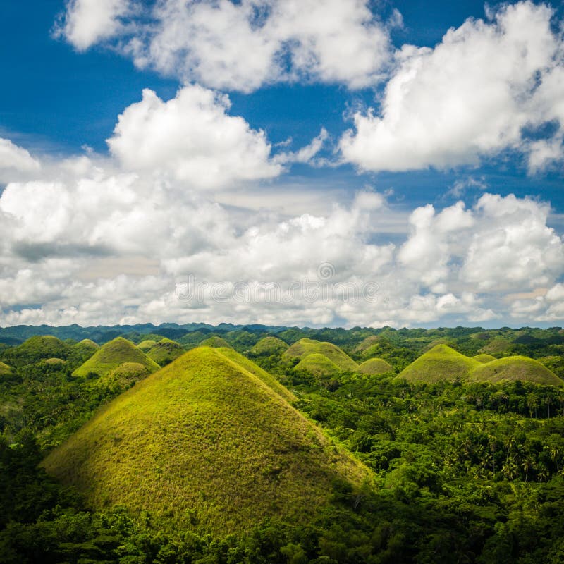 Vertical Shot of the Chocolate Hills Natural Monument in the