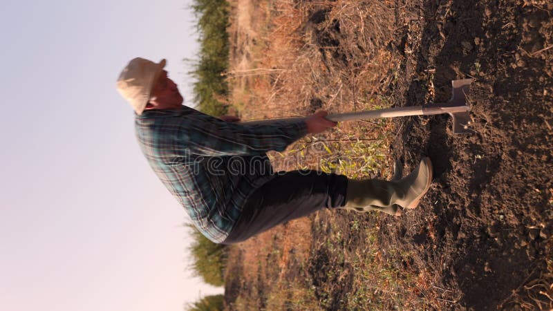 vertical shot The Proud Senior Farmer A Portrait of Rural Wisdom and Hard Work