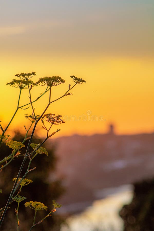 Whens Golden Hour Time Jordworkshop whens-golden-hour-time-jordworkshop