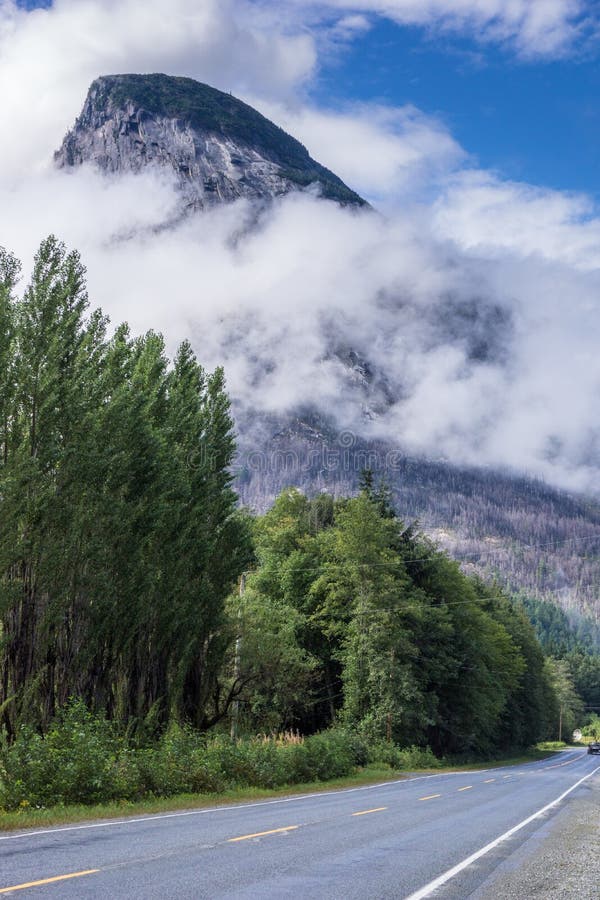 Vertical Shot of a Highway Near the Forest in Bella Coola, BC, Canada