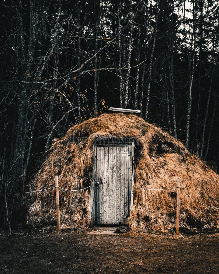 Vertical shot of a Mesolithic Hut, among trees of a forest in Norway royalty free stock images