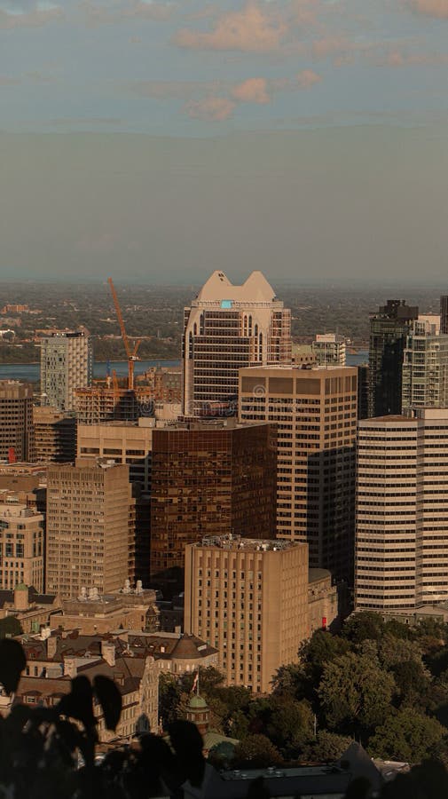 Vertical shot of the Montreal skyline, Canada royalty free stock photography