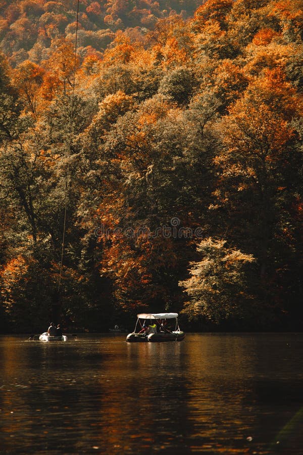 Vertikální záběr lidí plujících v zeleném jezeře obklopeném barevným podzimním lesem